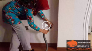 ویدیوی جارو مرکزی